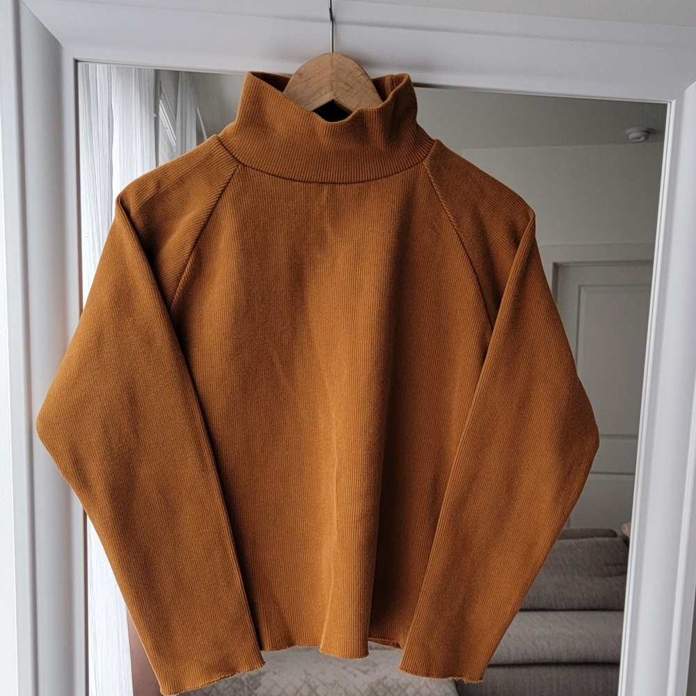 Brown Turtleneck Sz S